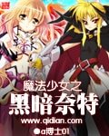 (魔法少女同人)之黑暗奈特