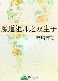 魔道祖师之双生子